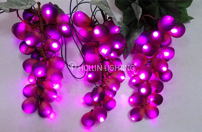 grape vine lights